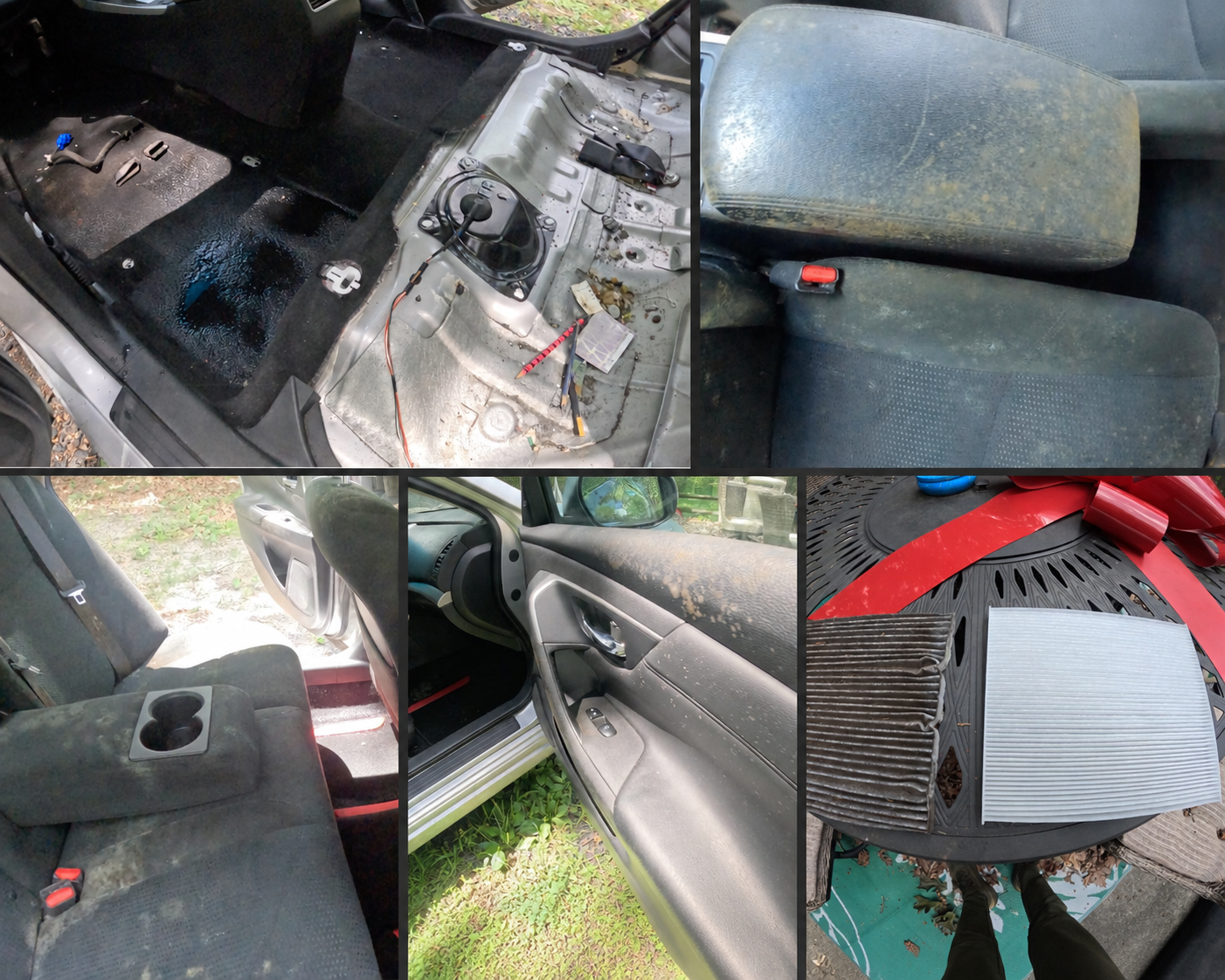 Severe vehicle mold and water damage before interior mold remediation