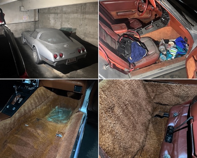 Vehicle carpet and seat contamination before professional mold remediation