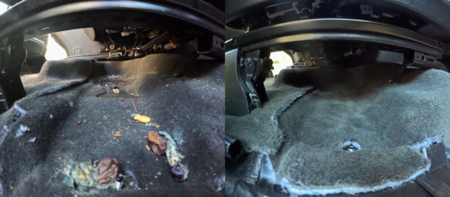 Before and after under seat mold and mildew interior cleaning